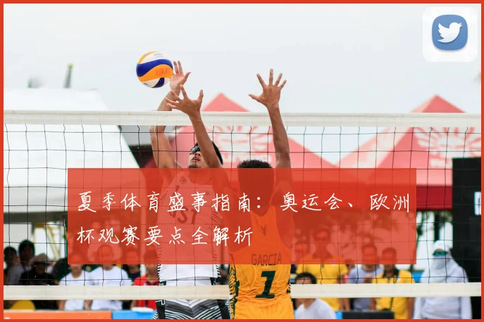 夏季体育盛事指南：奥运会、欧洲杯观赛要点全解析
